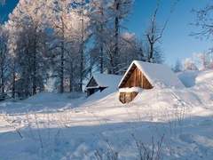 -hiems Lepus Blau. ¹