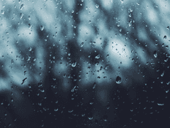 비가 내리는 날에는