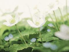 [익준송화] After, Us (조각글)