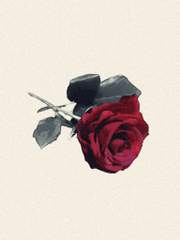 Fullmetal Alchemist SS: 백업