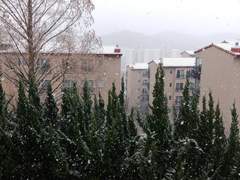 한겨울의 어느날.