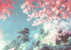 「행복 전도사」 사쿠라이 하루 도감