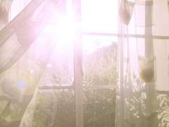 [조슈란지] 11 am