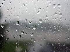 [태훈호빈] 소나기