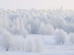 아무것도 할 수 없었던 너에게 감사해.