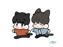 [백도] 처음 산책을 나온 고양이들