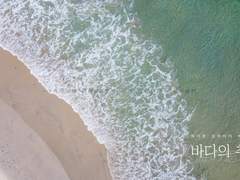 레아 (@reariri_HQ)