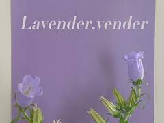 이꼬맹 근황 보고.