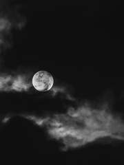 안개가 드리운 달밤에