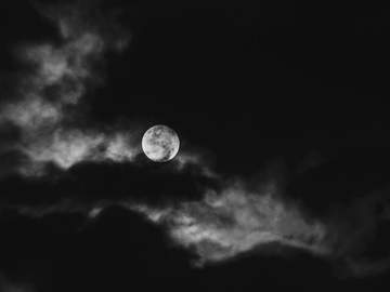 안개가 드리운 달밤에_3