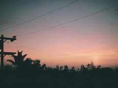 사라지기 위해 태어나는 것들 上