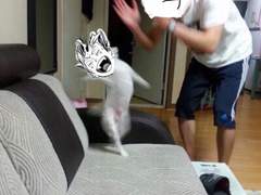 하이큐/드림 도쿄 춘고 관전하러 갔다가2