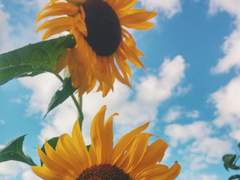 [필독] 서리네 디자인