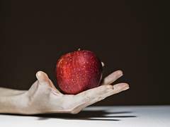 마토나토 / 세상 최후의 사과