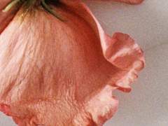 경) 구독자 400명 돌파 기념_K를 위하여 외전 썰 이벤트 안내 (축