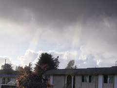 [로우루] 무제, 또는 여우비