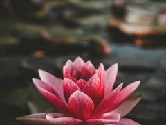 [장경고윤] 하계휴가 1