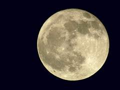 [모미나오] 달그림자