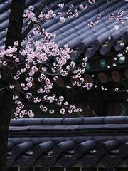 정연월드 2차창작