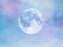 [히나른] 여우들과 쟈근 까마귀 3.