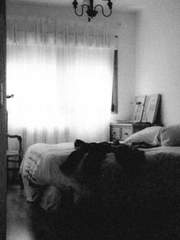 An introvert's dream