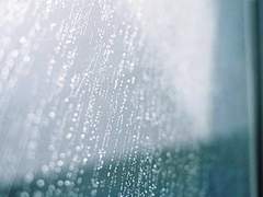 정녕 기분이 상했더라면.