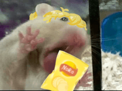 기락이로 만든 뭔가..