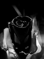 꽃을 피우는 3가지 방법