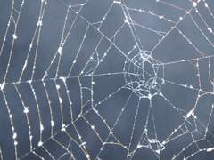 바다를 마주보며.