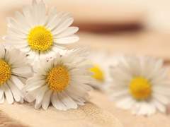 누가 널 사랑하겠니?