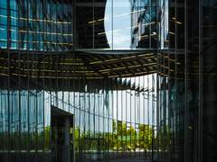 [장경고윤] 빛의 속도 1