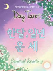 타로카드 한달,일년 운세