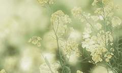 피피와 눈을 마주칠 수 있다면야!