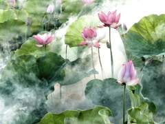 [희신강징] 빈 관을 열고