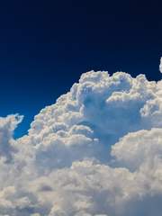 오버워치 단편 모음