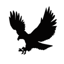 2020우시른 합작