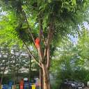 그냥한번해봤어