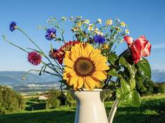 [헤이모녜] 나는 당신이 싫다