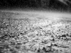 그리고 또 다시 책을 이야기한다.