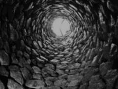 그곳은 우물이었다