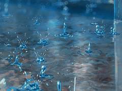 [가도윤] 거대한 급류 속 작은 다정