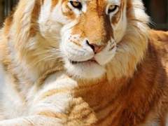 [명급리/ 황호의신] 5월 15일은.....