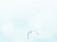 리리아 포러드 / 22 / 캔디아일랜드 공개프로필