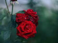 아무 일도 없었던 것처럼