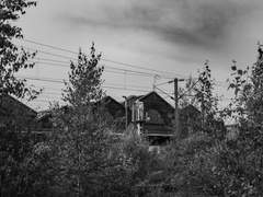 이과조, 황혼조, 서로가 좀비에 물렸을 때