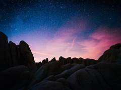 꿈토끼와 상어 이야기