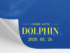 Dolphin