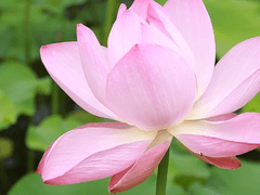 반짝반짝 빛나는 별같은 사람