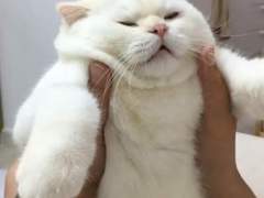 근황이랑 이모저모