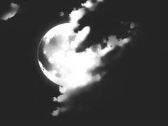 내가 네 행복이 될 수 있다면